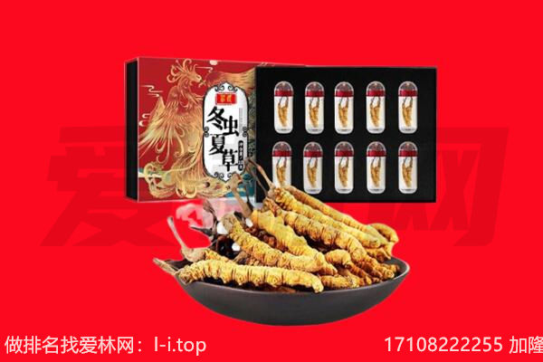 中山东凤镇回收虫草.jpg